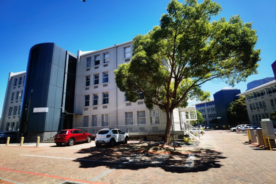 To Let commercial Property for Rent in Rondebosch Western Cape